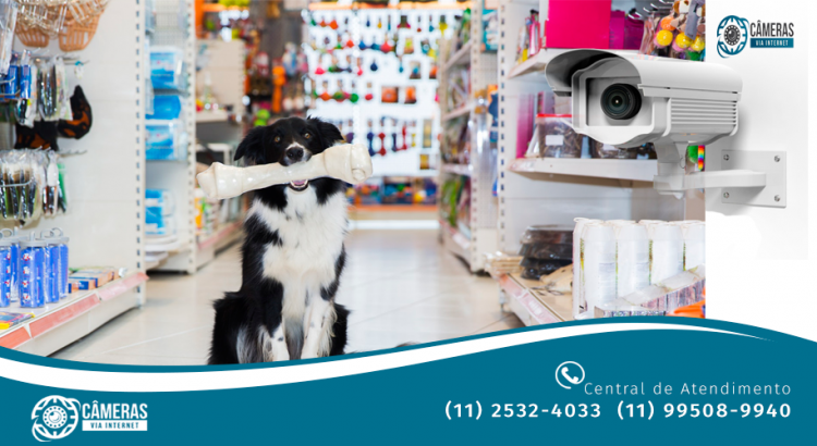 Câmeras de Segurança para Pet Shop